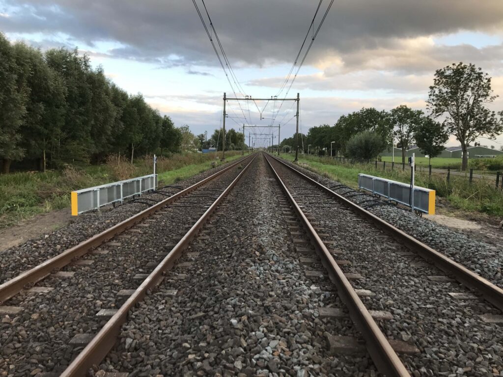 RLN00398